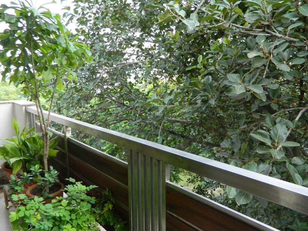 نيودلهي Deerpark Villa المظهر الخارجي الصورة